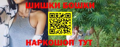 индика Гусь-Хрустальный