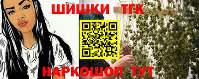 индика Гусь-Хрустальный