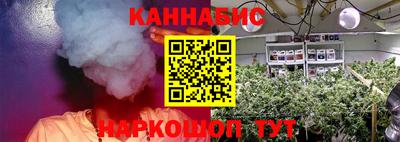 индика Гусь-Хрустальный