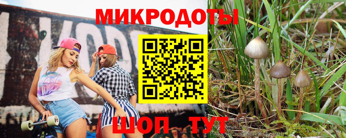 Псилоцибиновые грибы Cubensis Балтийск