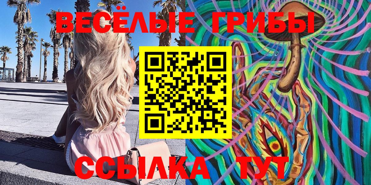 где продают наркотики  Псилоцибиновые грибы MAGIC MUSHROOMS  Вход с VPN  Балтийск 